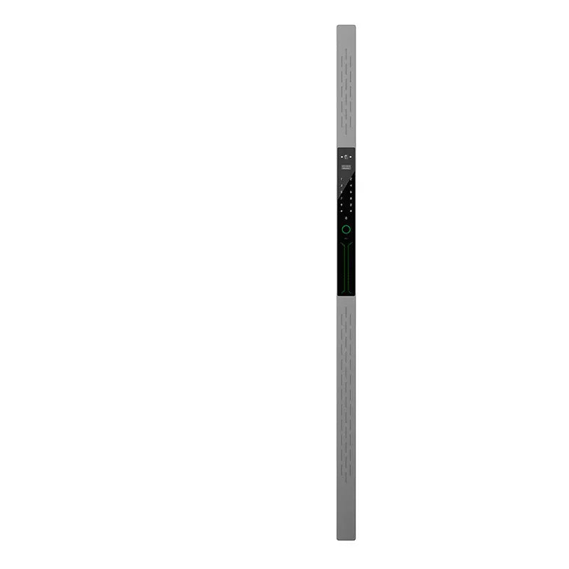 Luxury Door Smart Lock Fingerprint Combination Lock Face Unlock Features Stainless Steel from China Factory