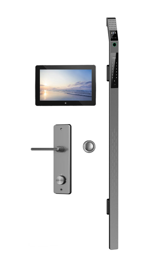 Luxury Door Smart Lock Fingerprint Combination Lock Face Unlock Features Stainless Steel from China Factory