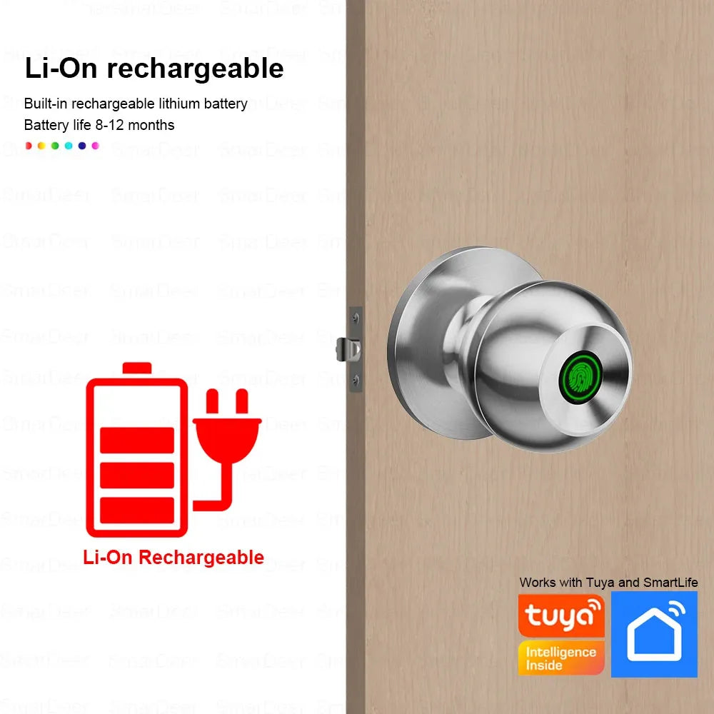 General Fingerprint Smart Door Lock Biometric Fingerprint Password APP with Key for Interior Door