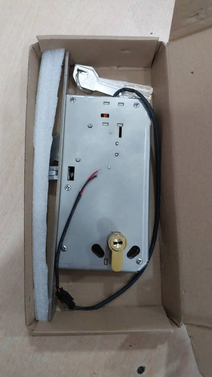 Electric Lock Cylinder Power Input 12V AC Application for the Smart Lock Used in Special Area Such As Jail and Public Area