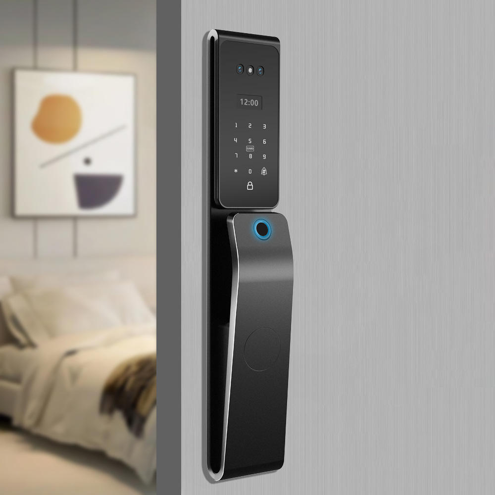 3D Face Recognition Door Lock Security Outdoor Active Intercom Camera Home Main Door Lock TDM-C50